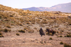 horse riding in lesotho